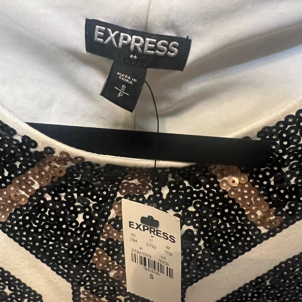 Express Dress - Picture 2 of 4